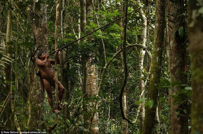 Это амазонское племя до сих пор живет в каменном веке!