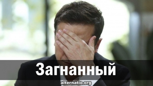 Загнанный