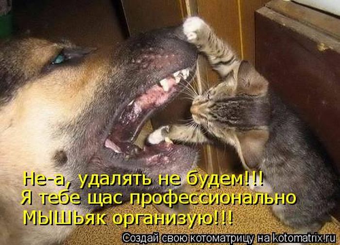 Мысли вслух :)