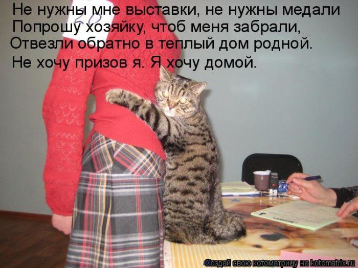 Мысли вслух :)