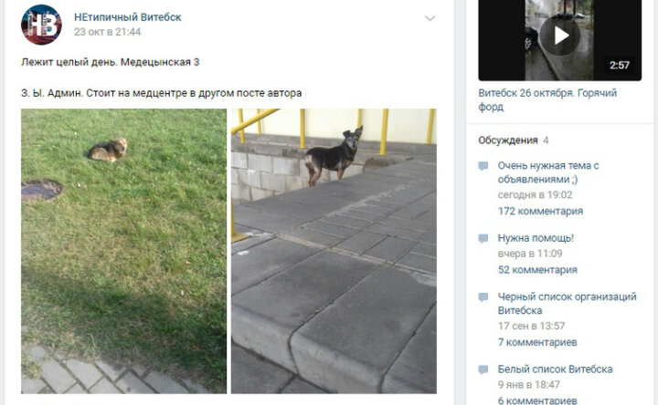 "Она была уже седая, но я узнала ее по родным мне глазам" - хозяйка нашла собаку спустя несколько лет увидев объявление...