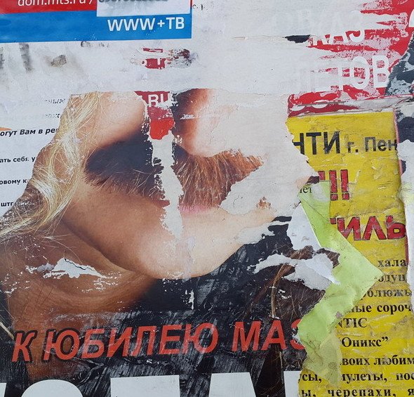 Усачи-бородачи: когда хотел быть в тренде, но что-то пошло не так Усачи-бородачи: когда хотел быть в тренде, но что-то пошло не так