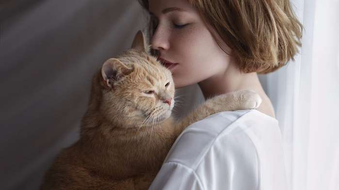 НГ котик (800x493, 167Kb)