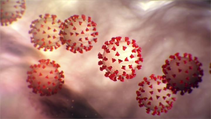 «Следующие 4 недели покажут»: Доктор Мясников назвал два сценария распространения коронавируса