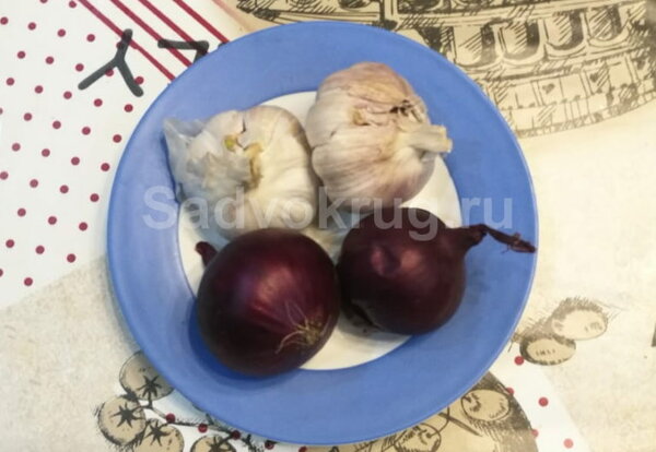 Полезные свойства лука и чеснока известны всем