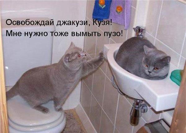Просто Анекдот