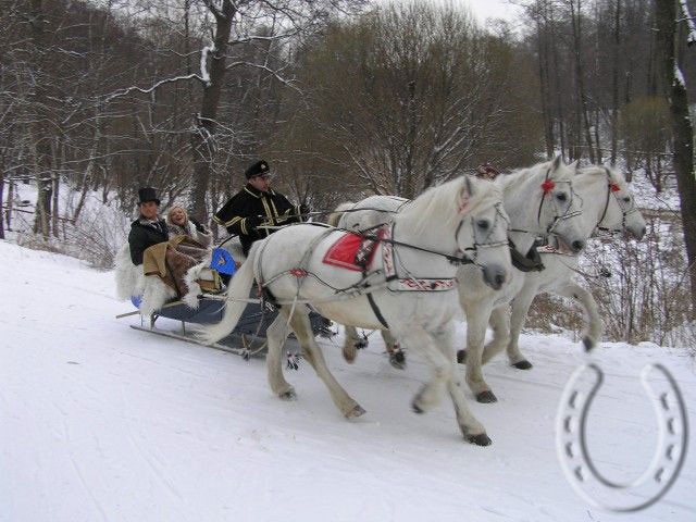 Тройка лошадей запряженная в сани