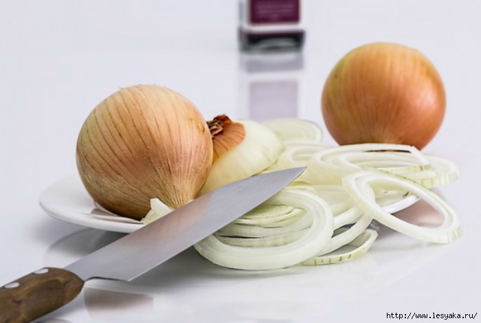 3925073_12useofonions (700x470, 133Kb)