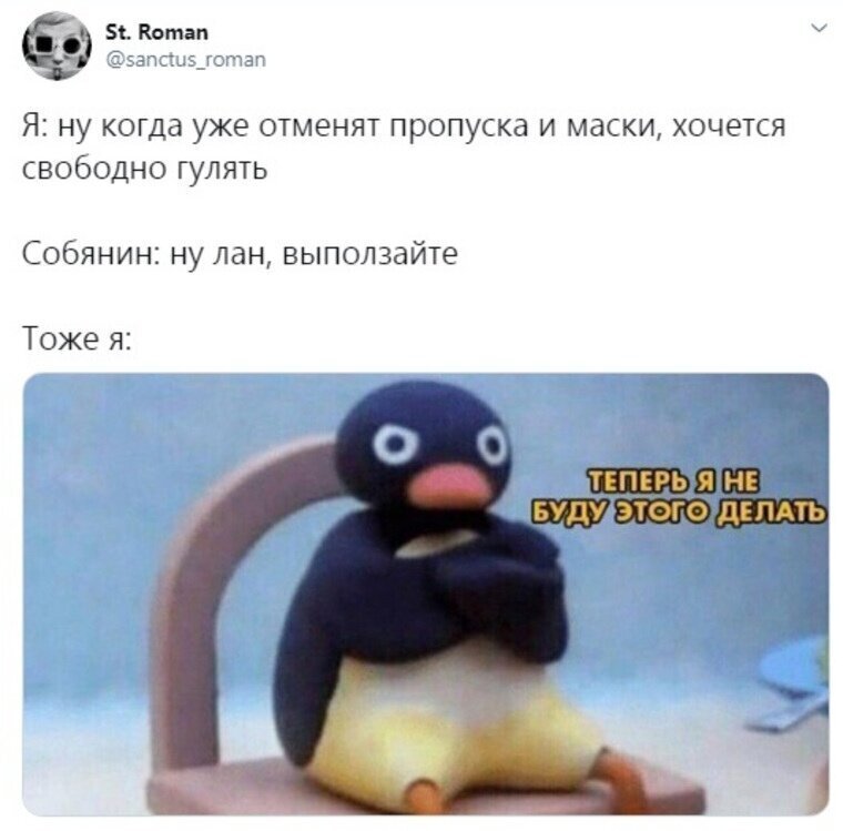 Что подумали москвичи о внезапной отмене карантина Что подумали москвичи о внезапной отмене карантина
(18 фото)