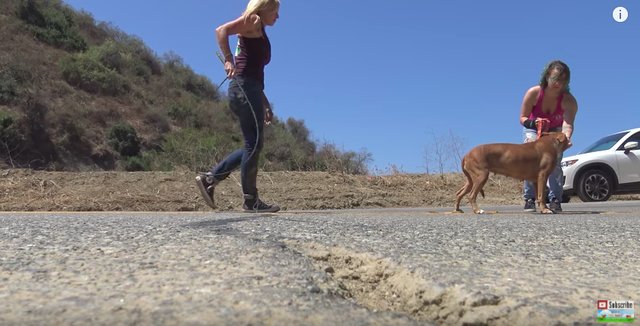 tmg-article_tall (4)