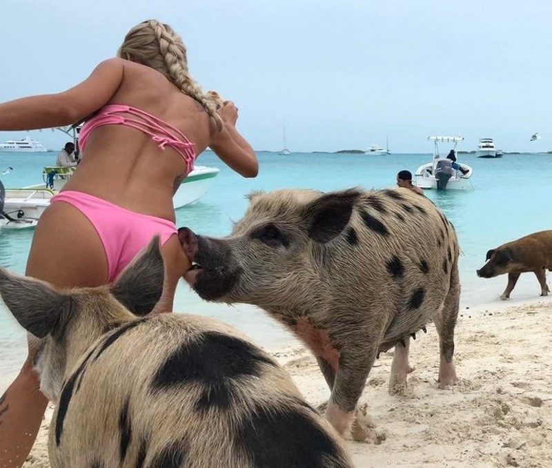 Фотографии девушек, притягивающих к себе неловкие ситуации
