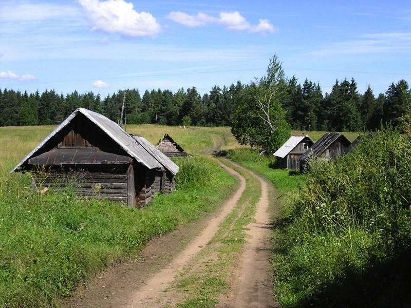 Кабан-охранник: история из жизни Кабан-охранник: история из жизни