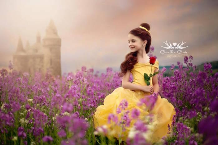 Цветочное поле. Автор: Camillia Courts. Цветочное поле. Автор: Camillia Courts.