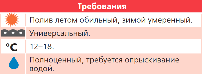 Нажимите для увеличения