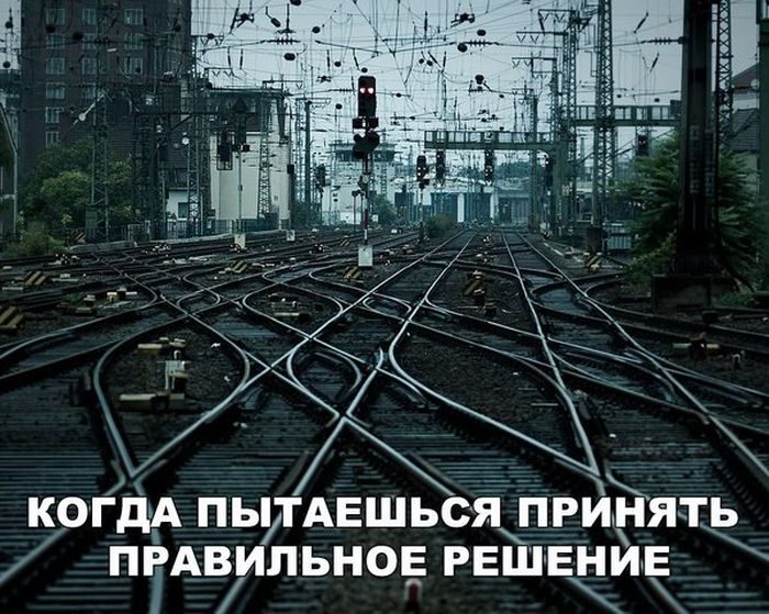 Убойные заряды юмора на всю праздничную неделю Убойные заряды юмора на всю праздничную неделю