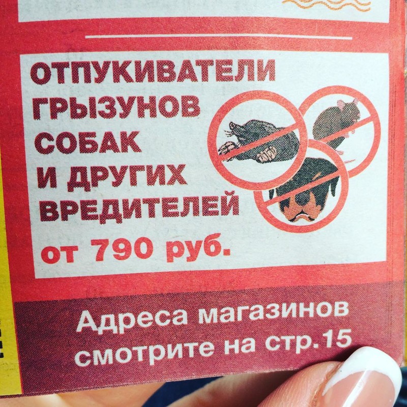 3. Если это вакансия, то я за 3. Если это вакансия, то я за идиоты, косяк, ляп, опечатка, русский язык, смешно, фото
