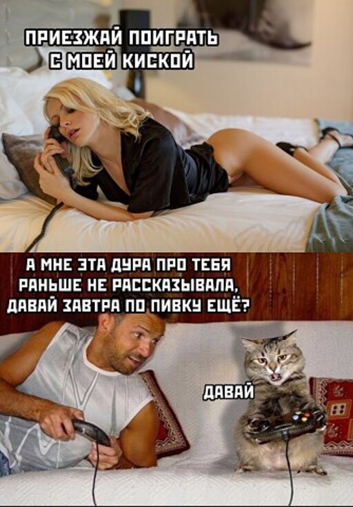 Алкопост Алкопост
