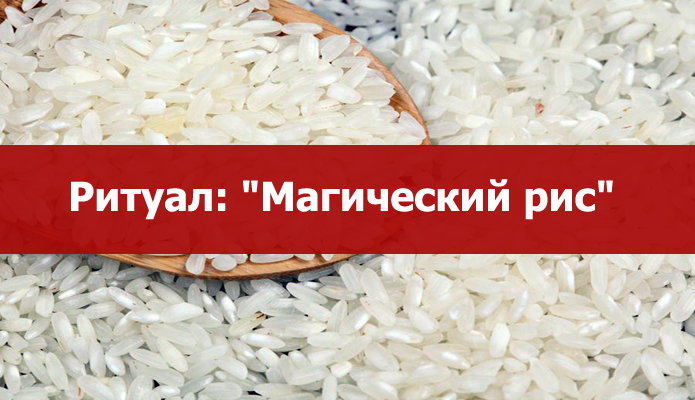 "МАГИЧЕСКИЙ РИС" "МАГИЧЕСКИЙ РИС"