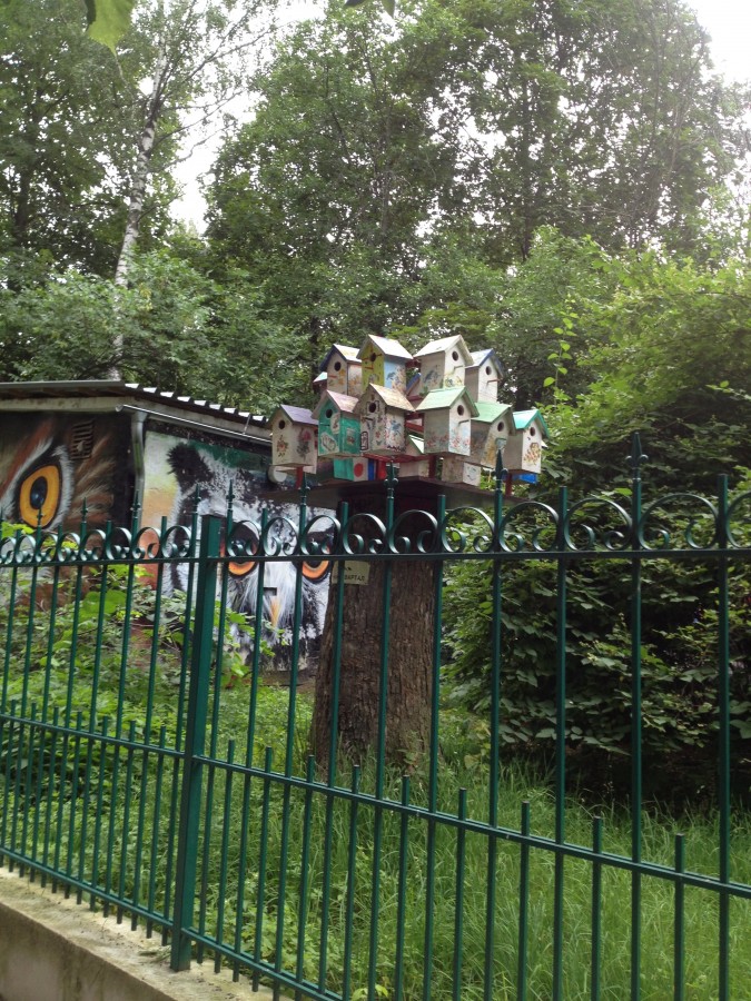 IMG_8610.JPG IMG_8610.JPG