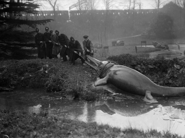 Интересные и редкие ретро-фотографии Интересные и редкие ретро-фотографии