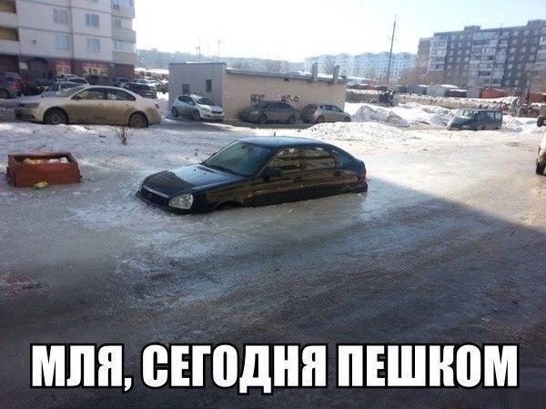 Убойные заряды юмора на всю праздничную неделю Убойные заряды юмора на всю праздничную неделю
