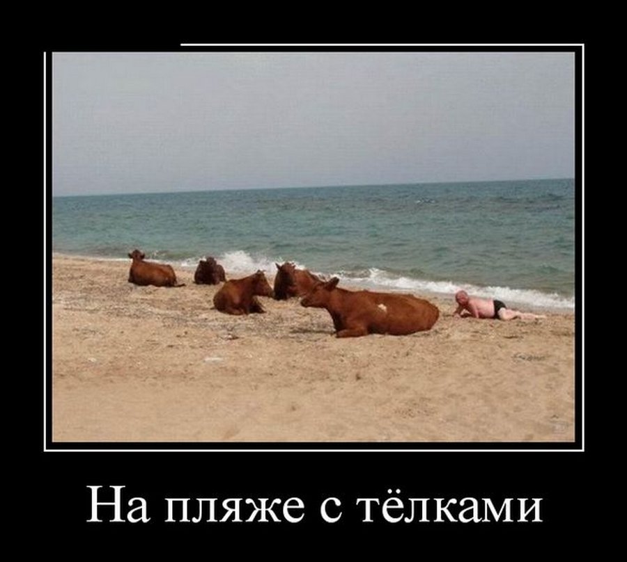 Демотиваторы, мно-о-о-ого, отличной подборочкой для зарядки позитивом на весь день! Демотиваторы, мно-о-о-ого, отличной подборочкой для зарядки позитивом на весь день!