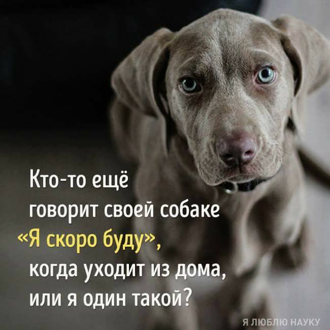 Минутка умиления. Потратьте эту минутку с пользой для настроения!)