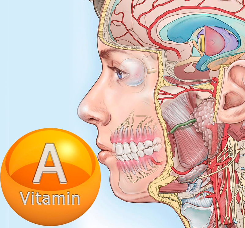 Признаки дефицита витамина А и способы его восполнить