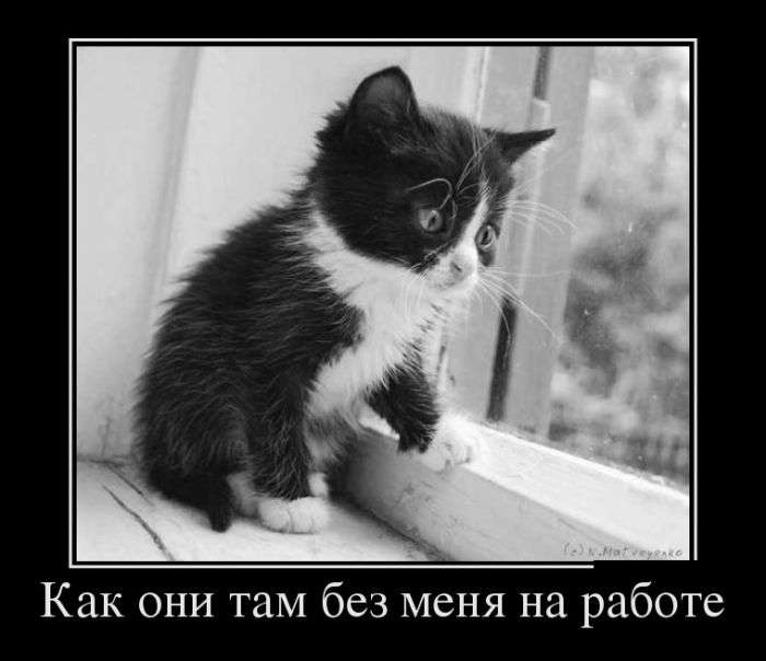 Прикольные демотиваторы для настроения (10 фото) Прикольные демотиваторы для настроения (10 фото)