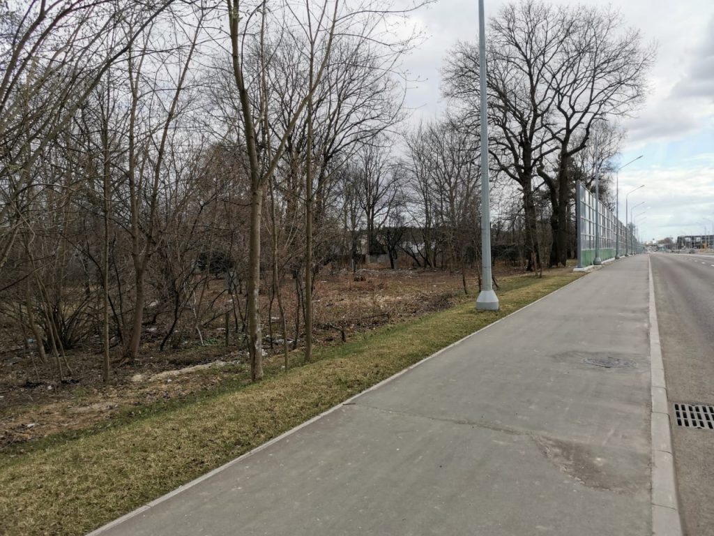 Озеленённую территорию вдоль Дмитровского и Новодачного шоссе приводят в порядок