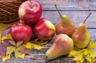 Яблоки и груши: готовим вкусные десерты и делаем заготовки на зиму