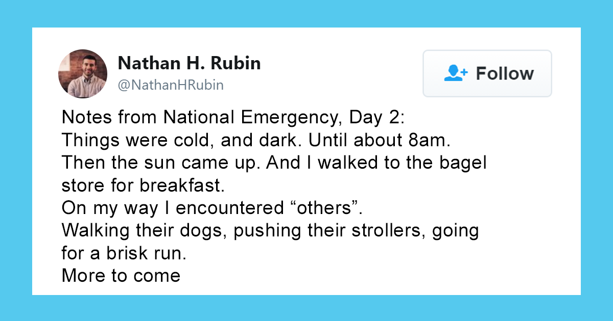 Trump Declares A National Emergency And Twitter Users Are Sharing How They Are ‘Surviving’