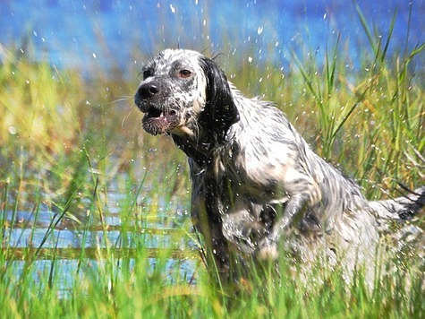 фото: Fotolia.com фото: Fotolia.com
