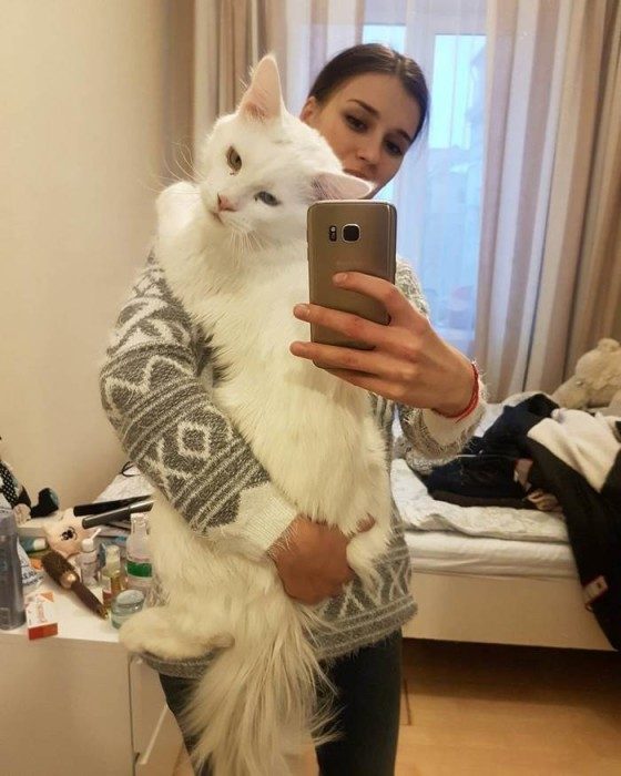Кот Тихон, который очень любит обниматься Кот Тихон, который очень любит обниматься