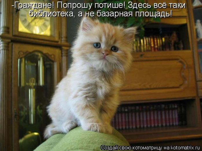 Мысли вслух :)