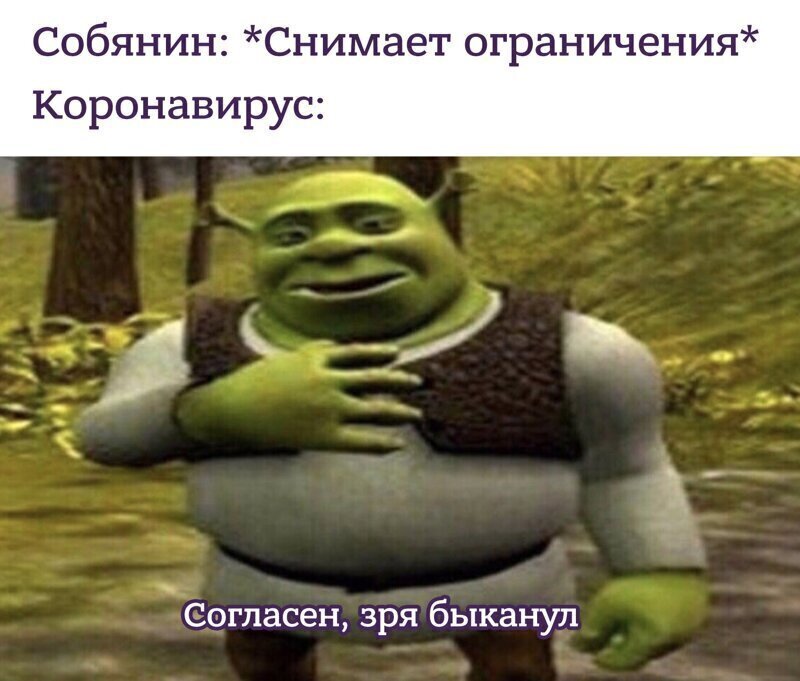 Что подумали москвичи о внезапной отмене карантина Что подумали москвичи о внезапной отмене карантина
(18 фото)