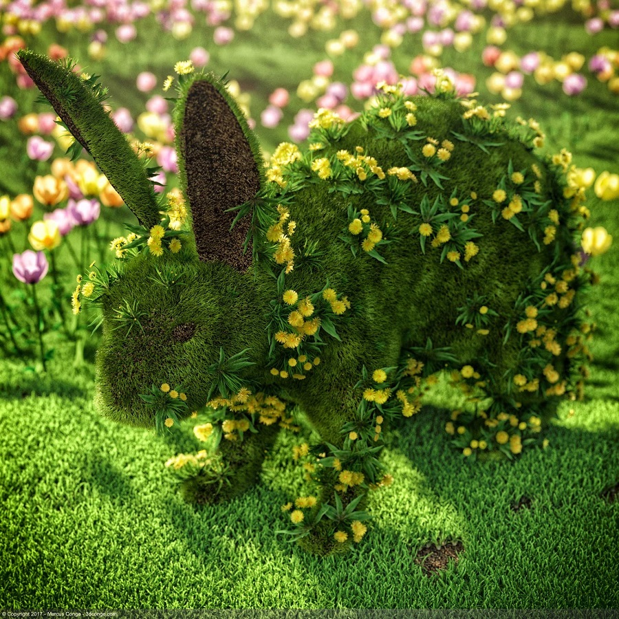 marcus-conge-daily2017-april15.jpg marcus-conge-daily2017-april15.jpg