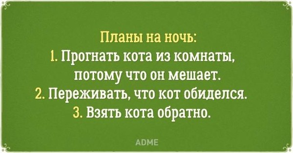 О НЕЛЕГКОЙ ЖИЗНИ КОТОВ И ИХ ВЛАДЕЛЬЦЕВ