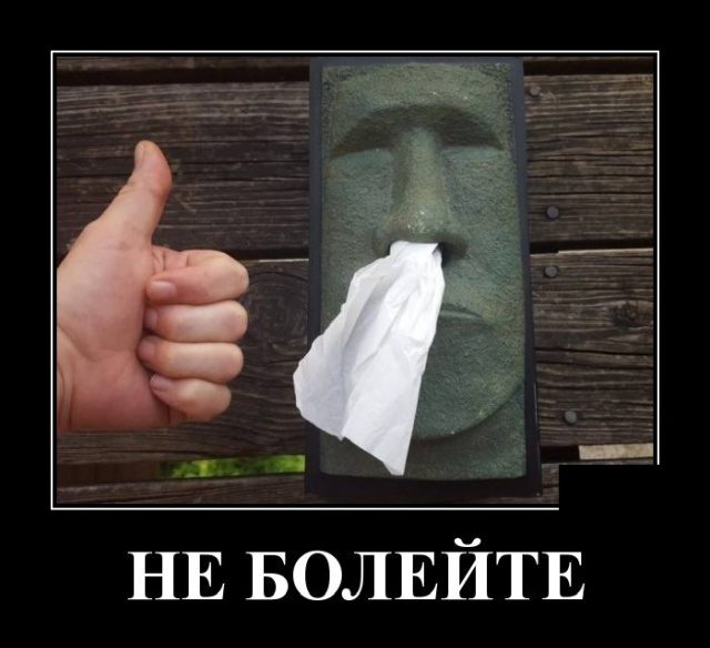 Самые классные демотиваторы