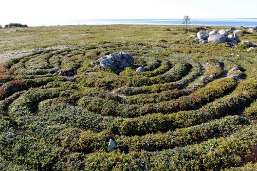 Каменные лабиринты острова Большой Заяцкий (8 фото)