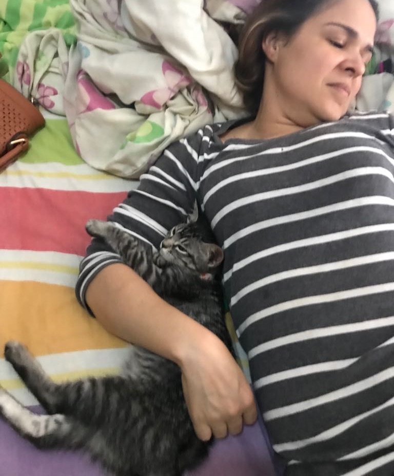 "В нашем доме не будет кота! Мама запретила оставлять котенка, но что-то пошло не по плану... "В нашем доме не будет кота! Мама запретила оставлять котенка, но что-то пошло не по плану...
