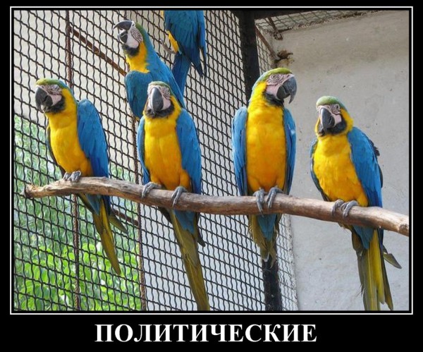 Донецк – «для кого ВОЙНА, а для кого…»