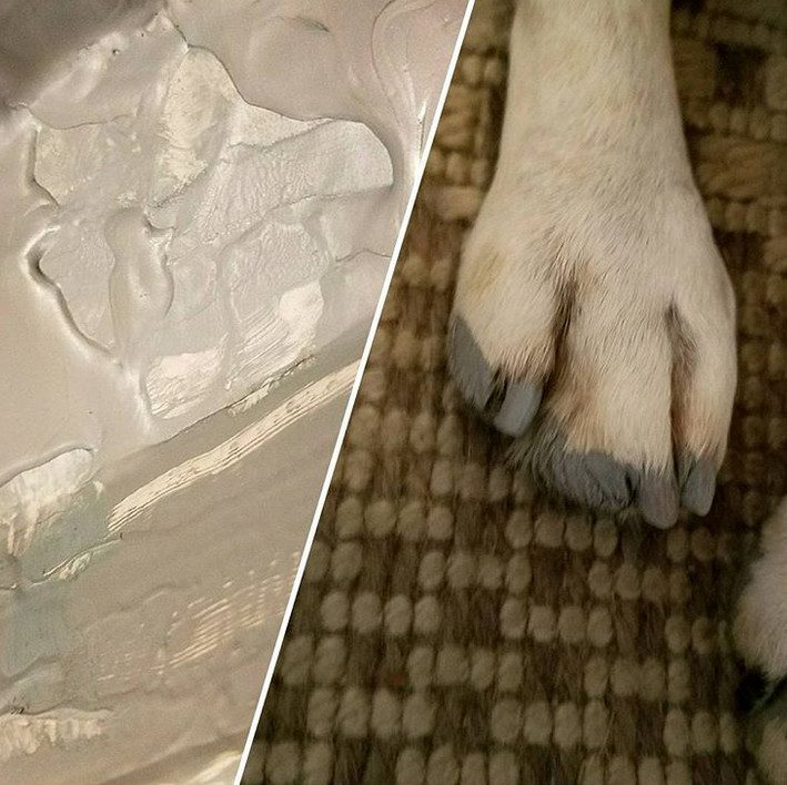 У животных тоже бывают неудачные дни) У животных тоже бывают неудачные дни)