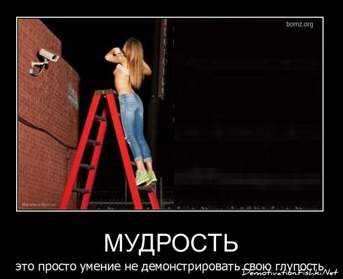 Глупость - это не грех, это дар Божий ... Глупость - это не грех, это дар Божий ...