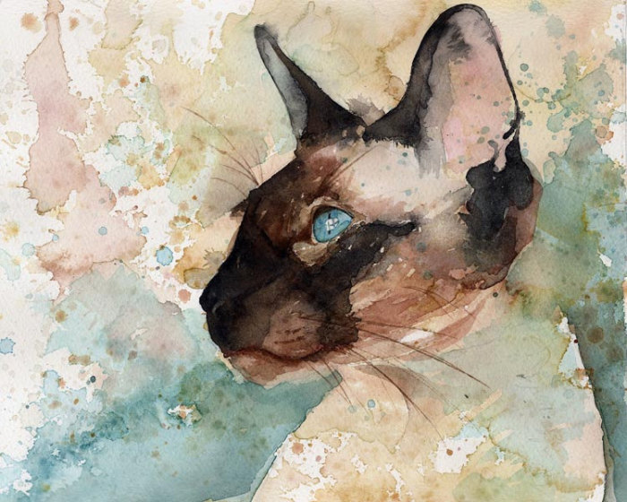 Горделивая осанка. Автор: Rachel Parker. Горделивая осанка. Автор: Rachel Parker.