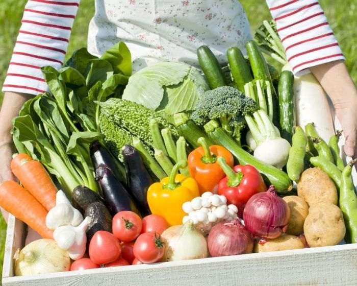 Правильная рассадка обеспечивает богатый урожай. /Фото: mediadb.agro2b.ru Сажаем грядки с умом: лучшие комбинации растений для минимального ухода