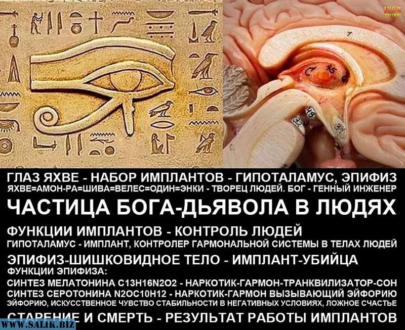Секрет Всевидящего Ока. Квантовый мега - компьютер у тебя в мозгу