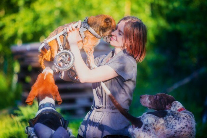 Известный московский фотограф уехала в лес, чтобы помогать животным Известный московский фотограф уехала в лес, чтобы помогать животным Дарья Пушкарева, животные, истории, москва, помощь, собака, фотограф
