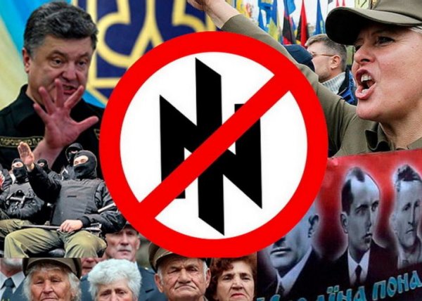 Польша ударила Порошенко в спину Польша ударила Порошенко в спину