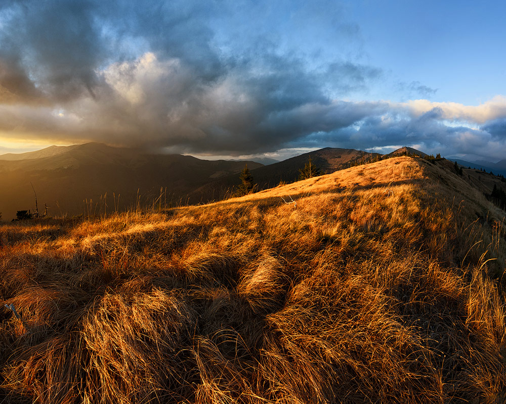 golden-hour-photography.jpg golden-hour-photography.jpg